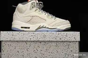 5 SE Jordan Air “Craft” Retro 0702
